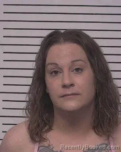 Mugshot of WENDEE LEE ARSENAULT booked in Iredell County, North Carolina on July 17, 2026