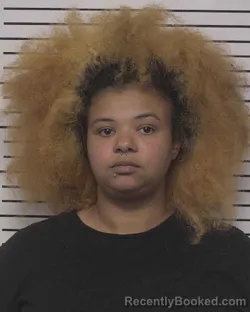Mugshot of Destiny Domenique Summers booked in Iredell County, North Carolina on September 15, 2026