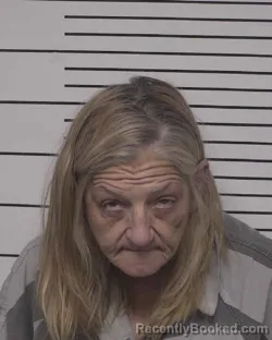 Mugshot of ELIZABETH NORMAN HOWARD booked in Iredell County, North Carolina on July 17, 2026