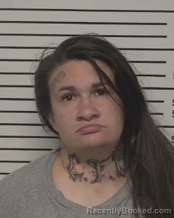 Mugshot of ARLENA ANN RITCHIE booked in Iredell County, North Carolina on May 18, 2026