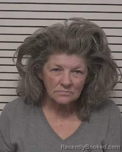 Mugshot of CATHY DENEEN MITZEL booked in Iredell County, North Carolina on June 21, 2026