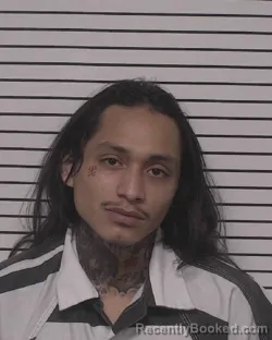 Mugshot of VICTOR JUAN FLORES-LUNA