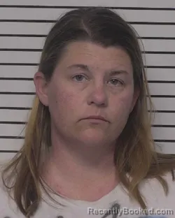 Mugshot of LAUREN BRASHER CROVITZ booked in Iredell County, North Carolina on March 24, 2026