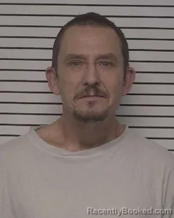 Mugshot of DAVID TODD WATSON