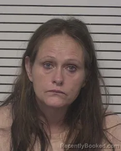 Mugshot of SUSAN APRIL SILVA