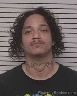 Mugshot of KEVIN THIEN DINH