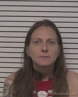 Mugshot of LACEY LANAE TERRY booked in Iredell County, North Carolina on May 3, 2026