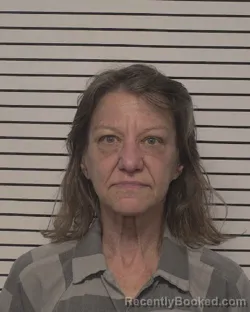 Mugshot of SUSAN RENEE FAIN