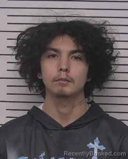 Booking photo from Iredell County, North Carolina