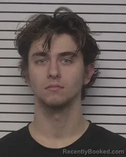 Mugshot of AUSTIN MICHAEL HARRIS