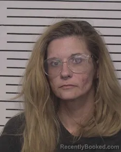 Mugshot of NICKLA TOMLINSON booked in Iredell County, North Carolina on March 27, 2026