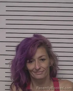 Mugshot of SHENA BONNIE MITCHELL booked in Iredell County, North Carolina on May 22, 2026