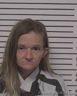 Mugshot of LESLIE ANNETTE YOUNG booked in Iredell County, North Carolina on March 17, 2026