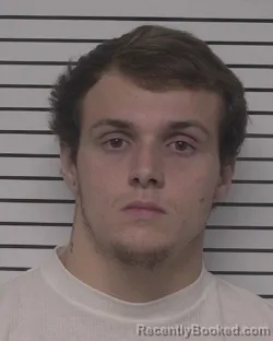 Mugshot of MATTHEW SHAWN LOVETTE