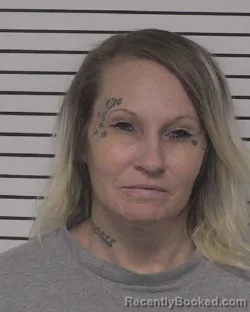 Mugshot of STEPHANIE LAURETTA BAUER LIPARI booked in Iredell County, North Carolina on March 24, 2026