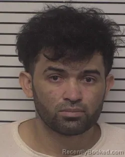 Mugshot of FREDYS ADALY MARTINEZ-MUNOZ