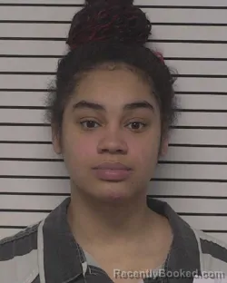 Mugshot of SOPHIA MARIE SANDOVAL booked in Iredell County, North Carolina on March 30, 2026