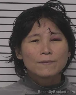 Mugshot of XIZHEN DU SCHENK