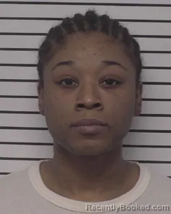 Mugshot of APRIL LAERICA ADAMS