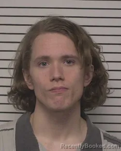 Mugshot of LOGAN JAMES PELOSI