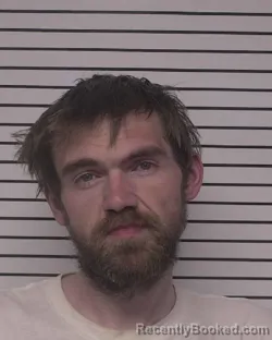 Mugshot of WILLIAM PERVIS PARKS