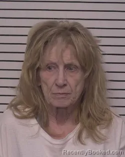 Mugshot of CATHY ELLIS STEPHENS booked in Iredell County, North Carolina on March 18, 2026