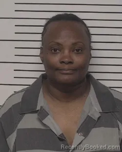 Mugshot of DENSIE LACHIEL BURNS booked in Iredell County, North Carolina on April 26, 2026