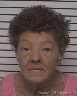 Mugshot of DEBORAH MAE BROWN booked in Iredell County, North Carolina on May 5, 2026