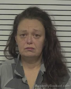 Mugshot of CHRISTINE ANN LEAL booked in Iredell County, North Carolina on June 29, 2026