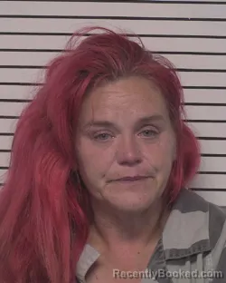 Mugshot of STEPHANIE DAWN MONGAN booked in Iredell County, North Carolina on July 19, 2026