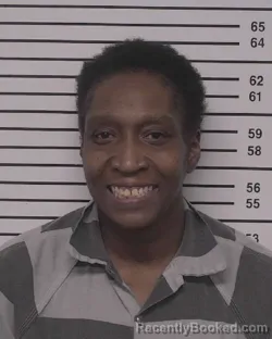 Mugshot of ASHLEY NICOLE WILSON