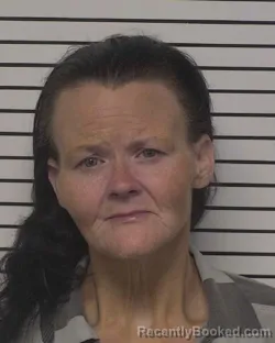 Mugshot of JENIENE YVONNE NICHOLSON booked in Iredell County, North Carolina on June 24, 2026