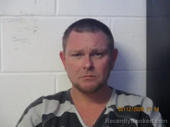 Mugshot of DEVAN K NELSON