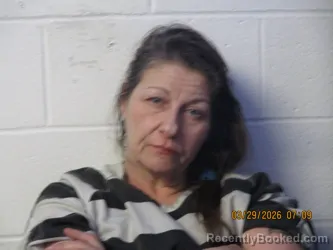 Mugshot of Tammy J Hudelson booked in Orange County, Indiana on March 29, 2026