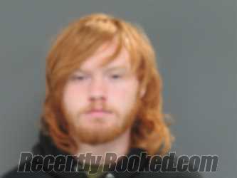 Booking photo from Parke County, Indiana