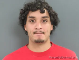 Booking photo from Parke County, Indiana