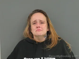 Mugshot of NICKI J LINDSEY