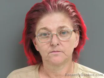 Mugshot of BRANDY L ADAMS booked in Parke County, Indiana on May 26, 2026