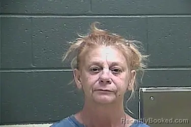 Mugshot of HOLLY SUE SIMPSON booked in Perry County, Indiana on August 2, 2026
