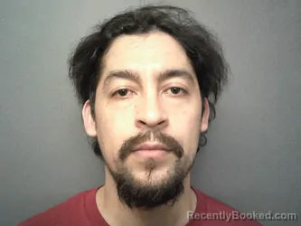 Mugshot of LUIS ENRIQUE DE SANTIAGO MARMOLEJO