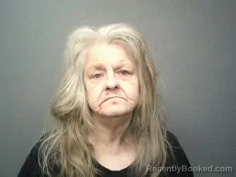 Mugshot of TERESA J TINSLEY