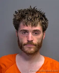 Mugshot of Anthony Collins Nelson booked in Porter County, Indiana on March 29, 2026