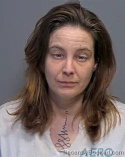 Mugshot of Courtney Michelle White booked in Porter County, Indiana on March 25, 2026