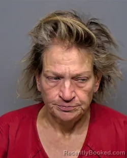 Mugshot of Tonya Diane Bontrager