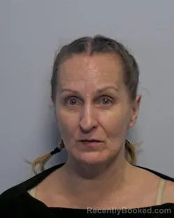 Mugshot of Danielle R Gulik booked in Porter County, Indiana on June 25, 2026