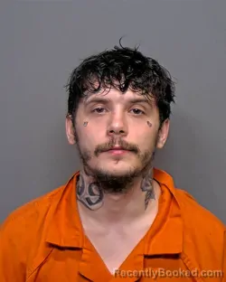 Mugshot of Brian Joseph Birchall booked in Porter County, Indiana on March 6, 2026