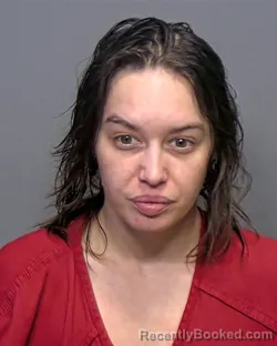 Mugshot of Jerika Marie Wolotka