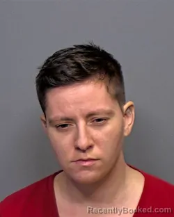 Booking photo from Porter County, Indiana