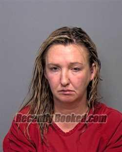 Booking photo from Porter County, Indiana