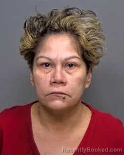 Booking photo from Porter County, Indiana